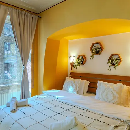 Tree House-old Town * ブラショフ