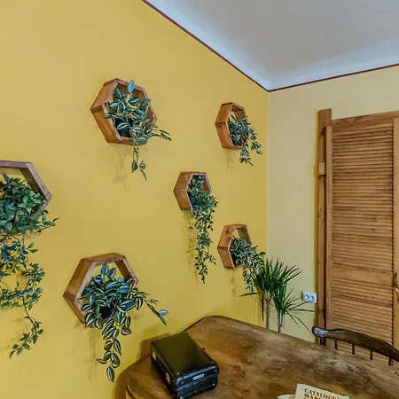 Tree House-old Town 아파트 브라쇼브