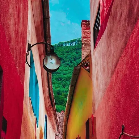 Tree House-old Town