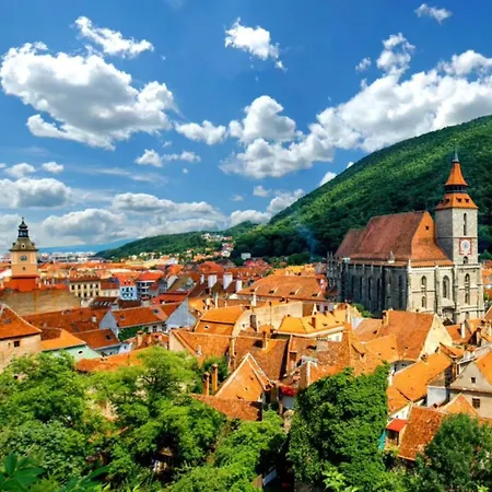 Tree House-old Town ブラショフ