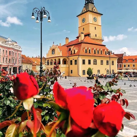 Tree House-old Town ブラショフ