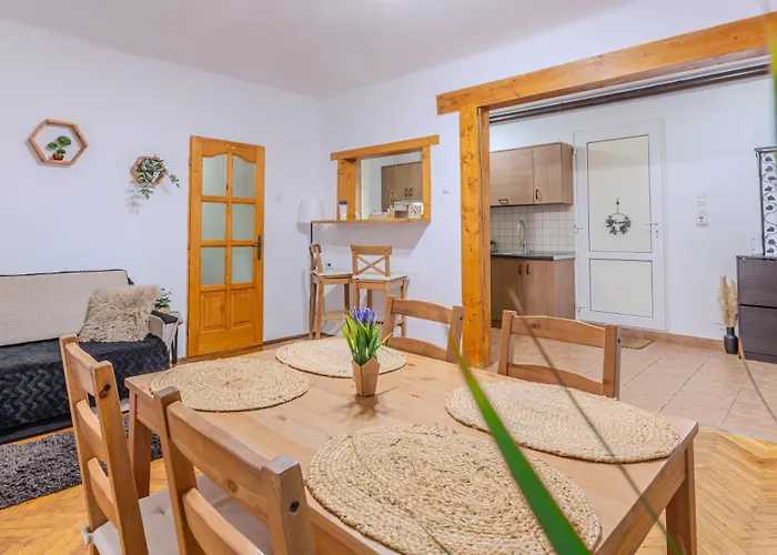 Tree House-old Town براشوف