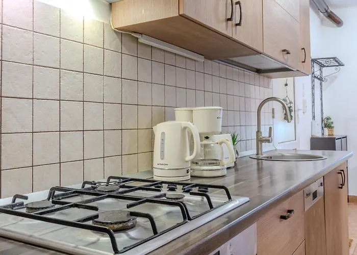 Tree House-old Town * Μπρασόβ