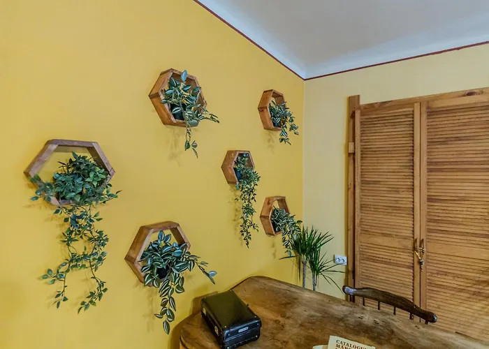 Tree House-old Town Apartment Brasov