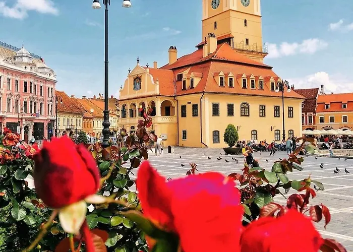 Tree House-old Town Brasov