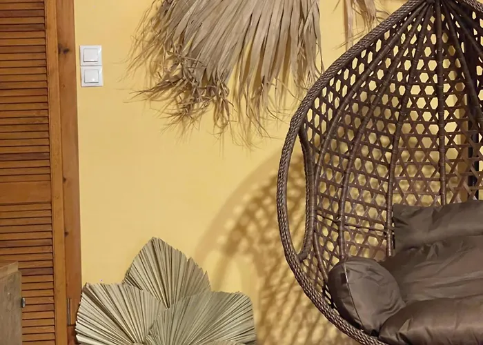 Apartment Tree House-old Town Brasov