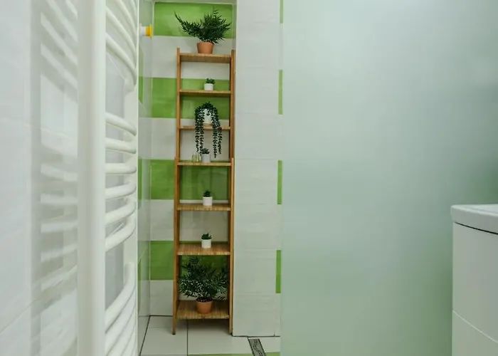 Tree House-old Town * Brasov